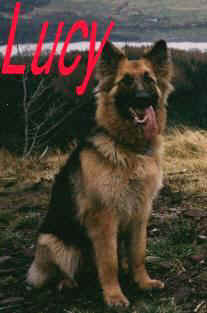Lucy 3.JPG (14079 bytes)
